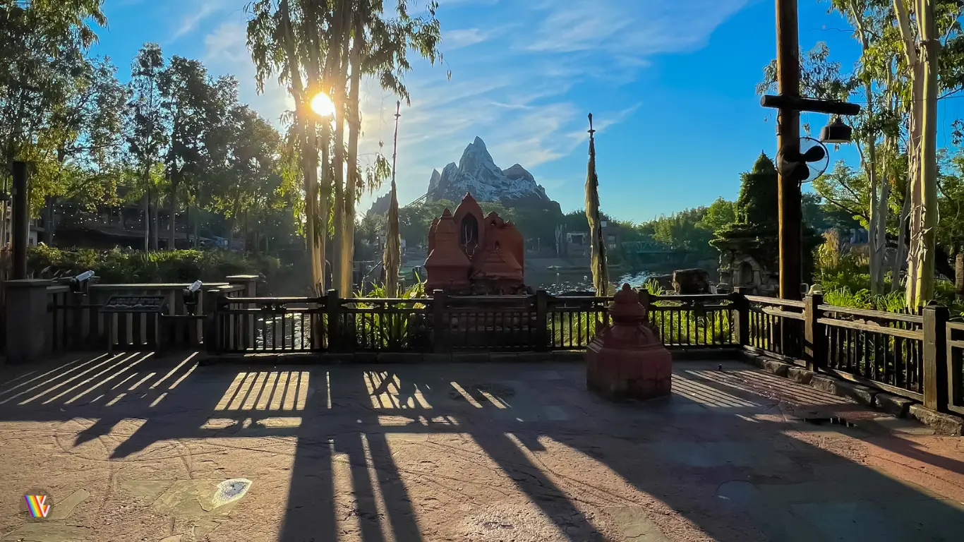 Expedition Everest and sunlight behind trees, casting shadows onto the ground