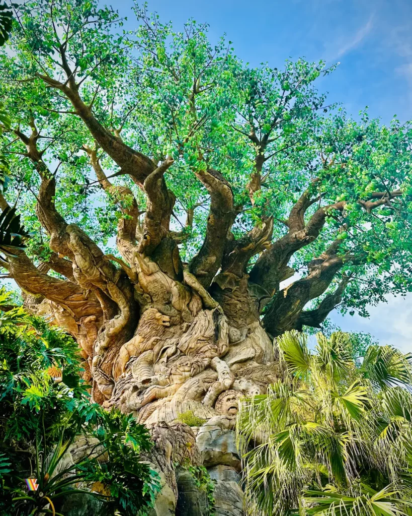 Looking up at the Tree of Life on a sunny day at Disney's Animal Kingdom