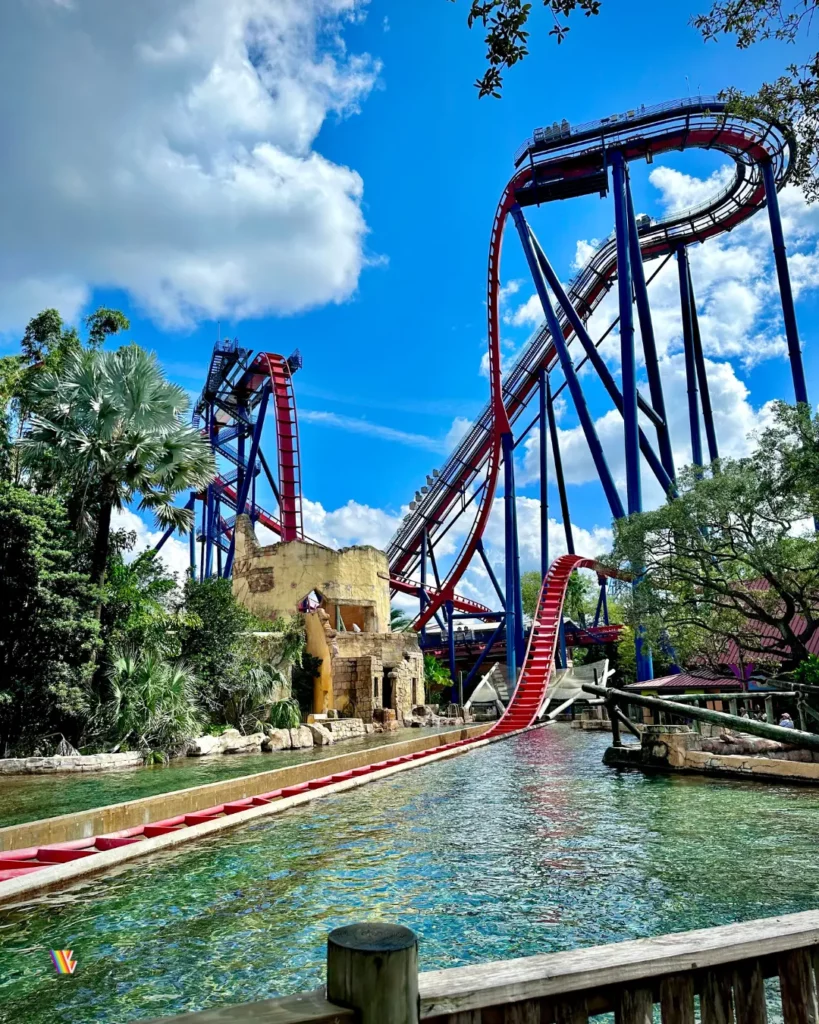 Sheikra, one of the fastest roller coasters in Florida, rising up from the ground with the splash pool in the foreground at Busch Gardens Tampa Bay