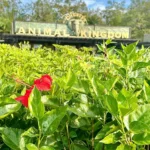 Entrance of Animal Kingdom behind greenery and flowers in the foreground