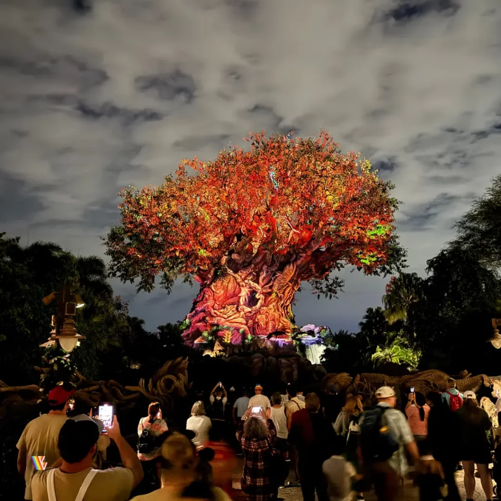 Tree of Life lit up orange at night at Disney's Animal Kingdom at Walt Disney World